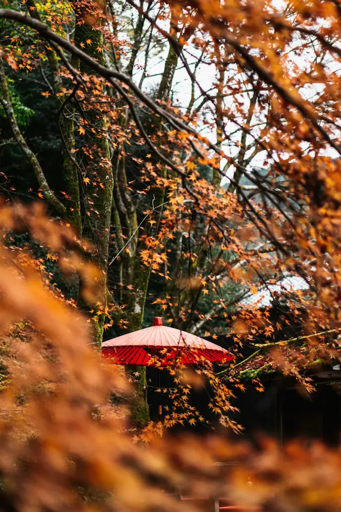 Kyoto Heritage Journey